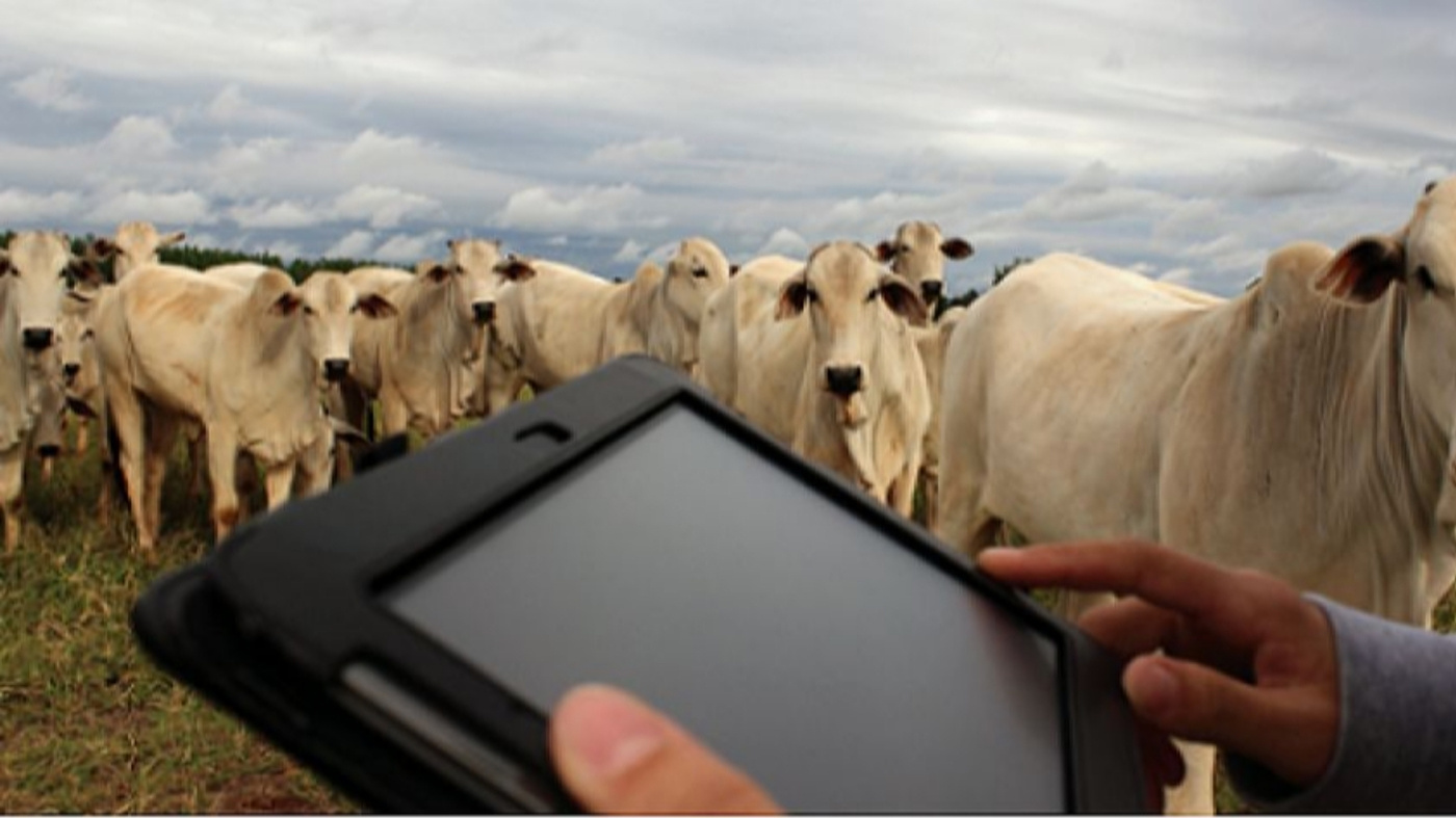 Como a tecnologia pode revolucionar sua fazenda